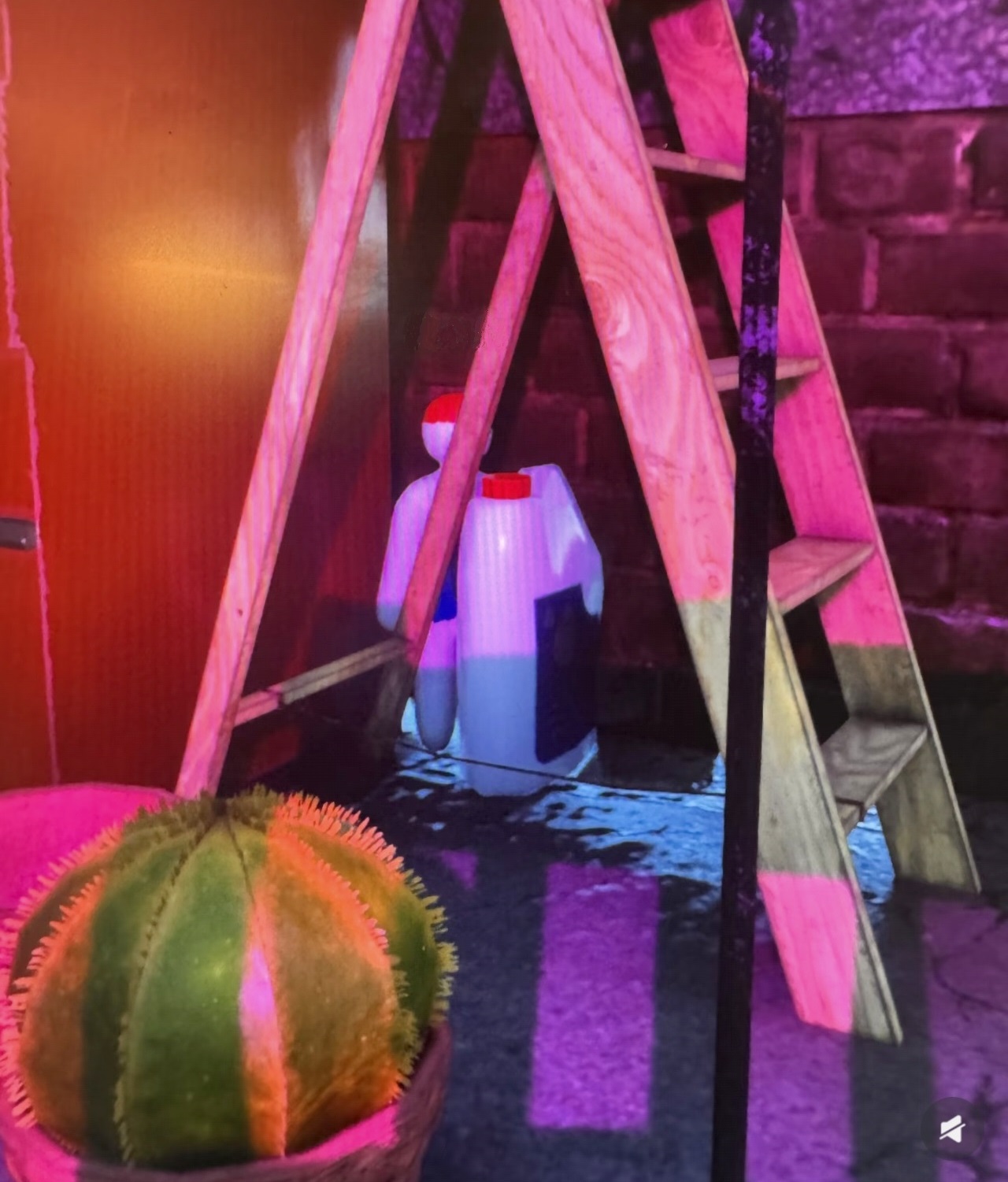 Hider using a ladder as partial cover in Meccha Chameleon